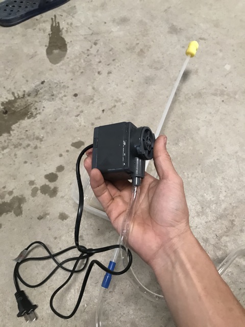 Máy rửa âm đạo heo nái  máy rửa tử cung lợn heo