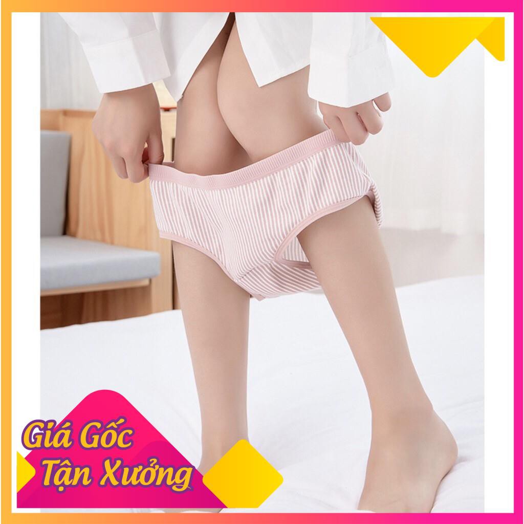  Quần Lót Nữ Cotton Kẻ Sọc Mềm Mát, Co Dãn, Thấm Hút Mồ Hôi (38-65kg) 031 | BigBuy360 - bigbuy360.vn