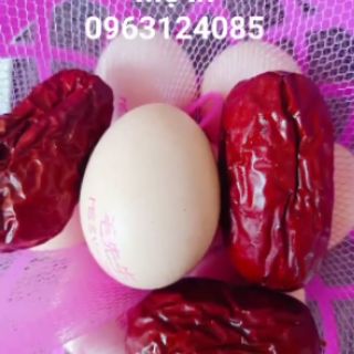 TÁO ĐỎ TÂN CƯƠNG TO ĐẠI ( COMBO 2 TÚI 1KG)