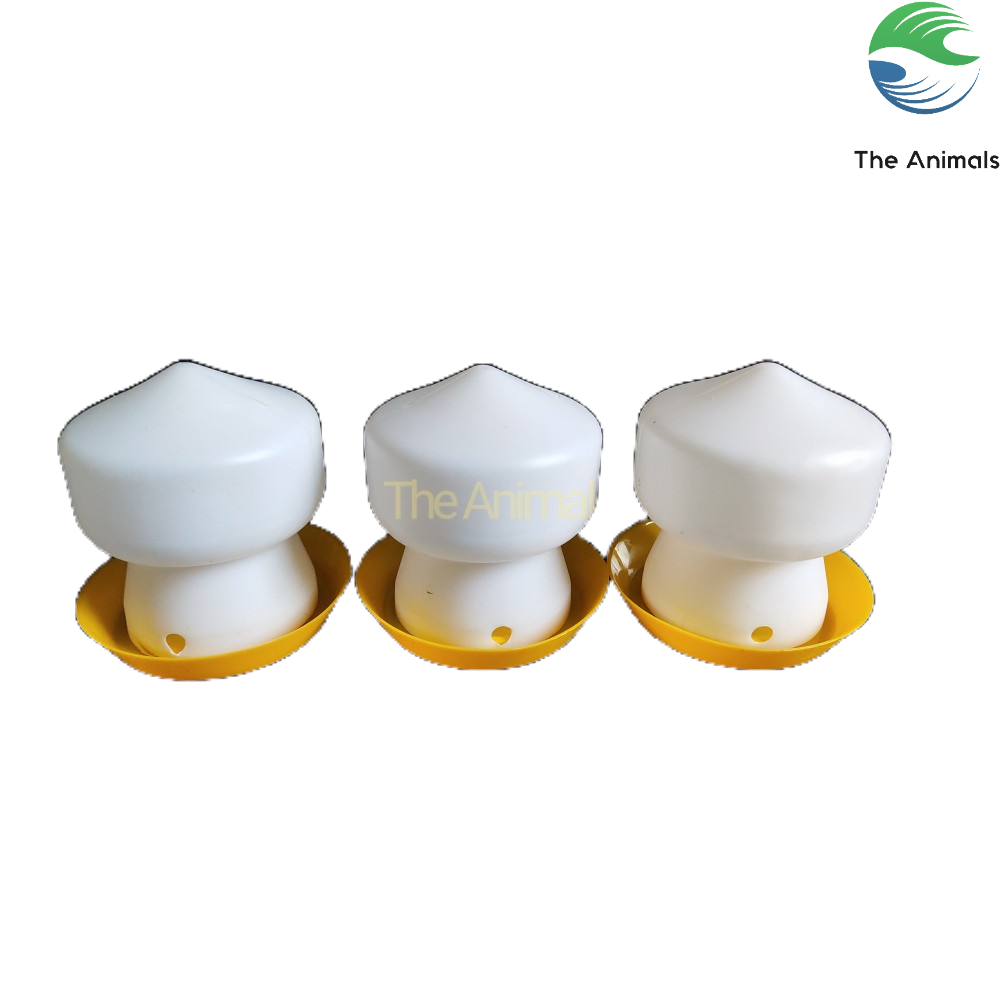 Set 3 cái Bình uống nước tự động cho chim, vẹt,...