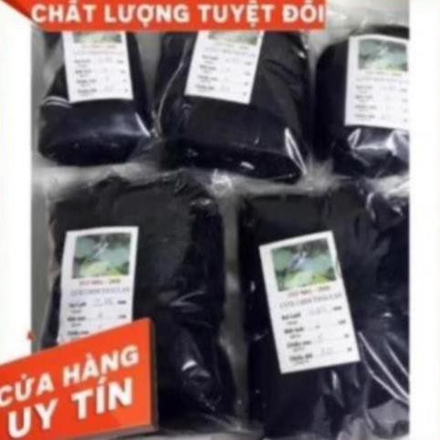 Thanh Ly Lưới bẫy chim tàng hình Thái Lan