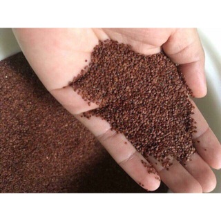 3kg Hạt ngũ hoa đắp mặt HandMade
