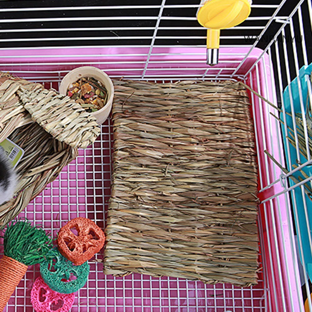 Set 3 Thảm Cỏ Lót Chuồng Nuôi Chuột Hamster