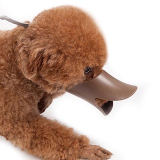 RỌ MÕM MỎ VỊT DÀNH CHO BÉ