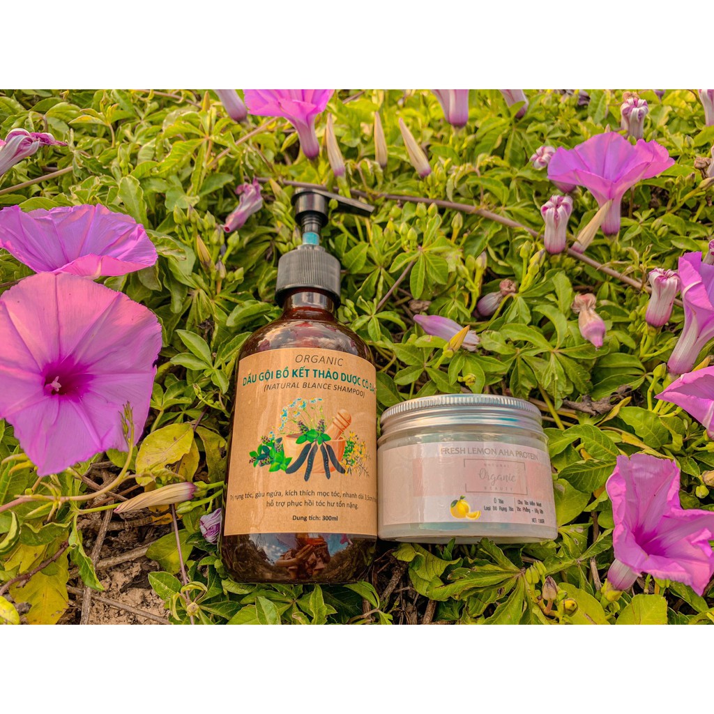 COMBO GỘI THẢO MỘC VÀ XỊT BƯỞI ORGANIC BEAUTY