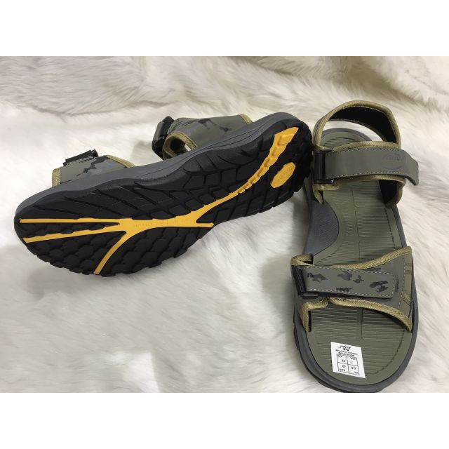 Hậu kaido ( hàng kaido chính hãng)