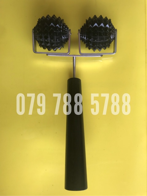 Cây lăn cầu gai đôi lớn diện chẩn