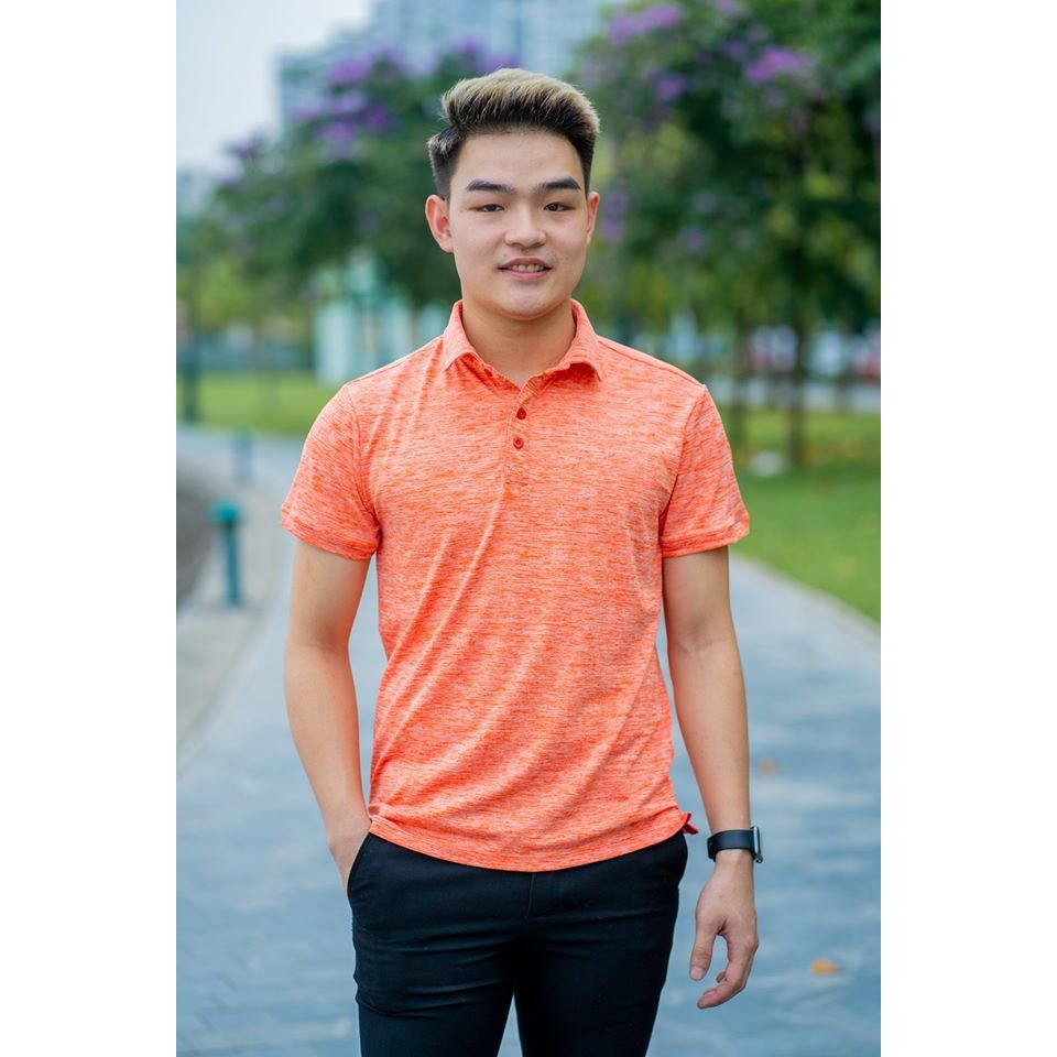 AÓ PHÔNG POLO COTTON 100%