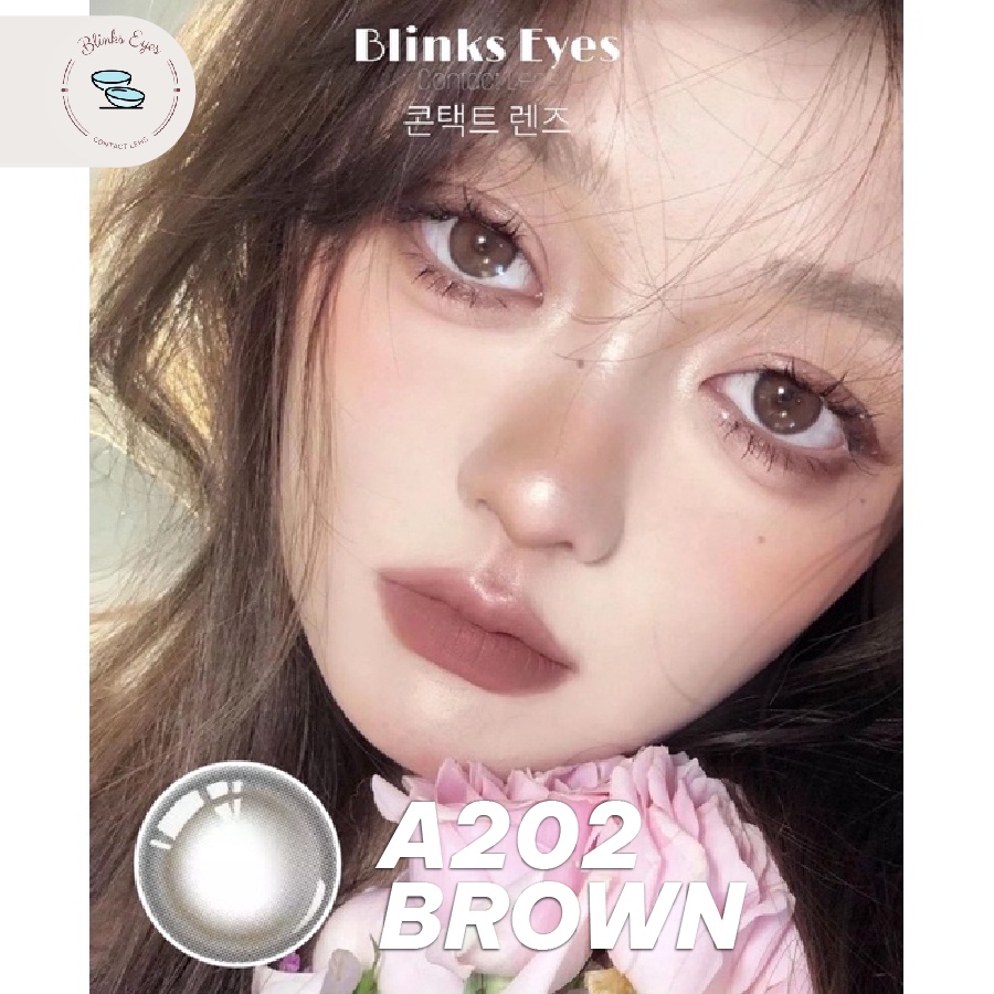 Kính Áp Tròng Lens Mắt Miss Brown BLINKS EYES A202 Màu Nâu Có Viền Hiệu Ứng Cho Mắt Cận 0-8 Độ Dùng Trong 6 Tháng