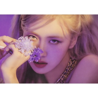 Poster a3 - rosé