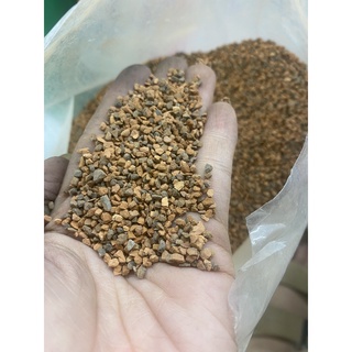 500gr Sạn gốm Ceramic Soil trải nền bể cá thủy sinh Sỏi Ceramic trải nền