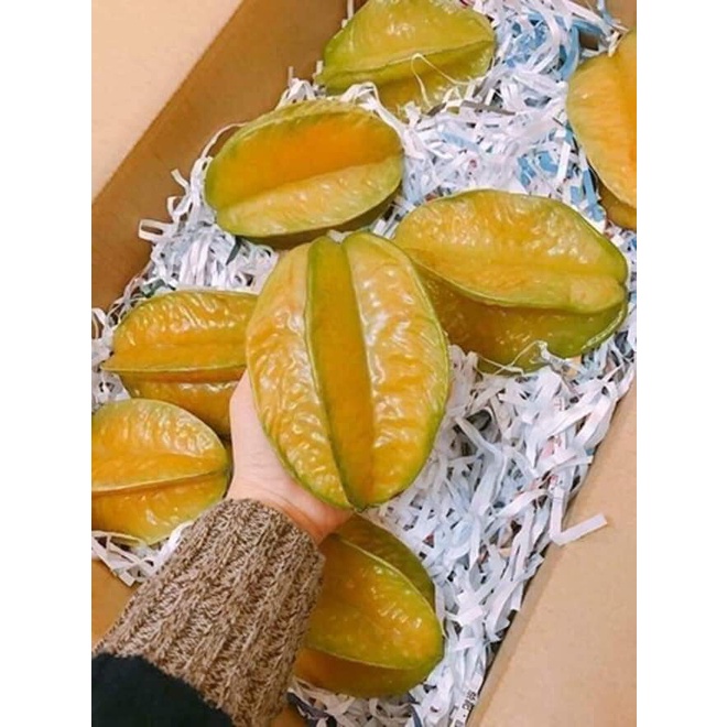 GIỐNG CÂY KHẾ NGỌT THÁI LAN