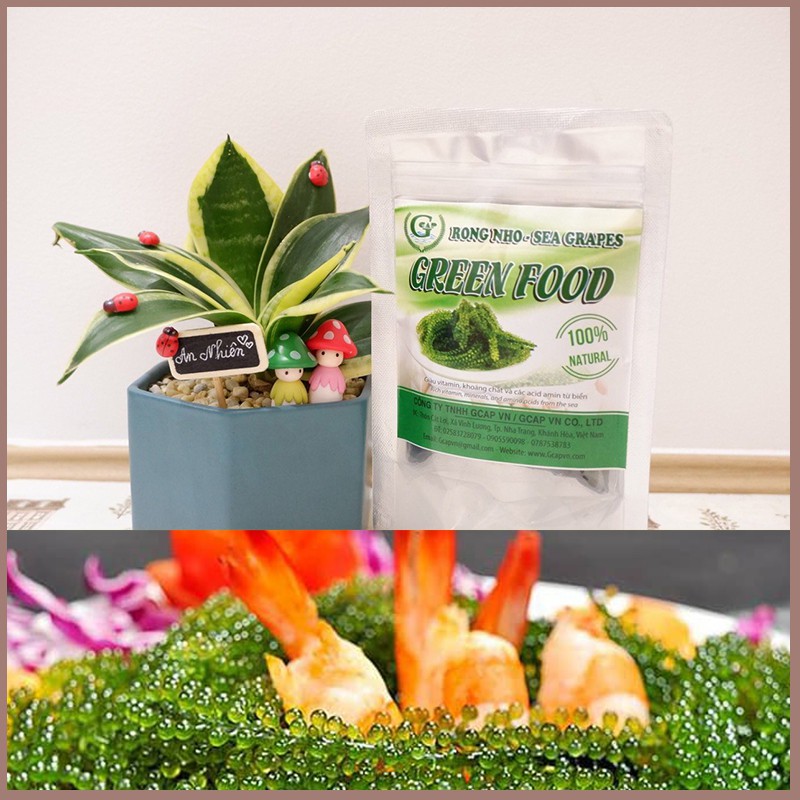 Rong nho 📛 𝑭𝑹𝑬𝑬𝑺𝑯𝑰𝑷 📛 nho biển, giá rong nho thương hiệu Green Food Túi Zipper 100g | BigBuy360 - bigbuy360.vn