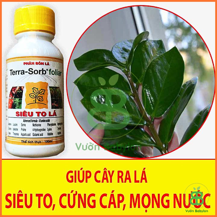 Phân Bón Kích Ra Hoa, Siêu To Lá Terra Sorb foliar 100ml