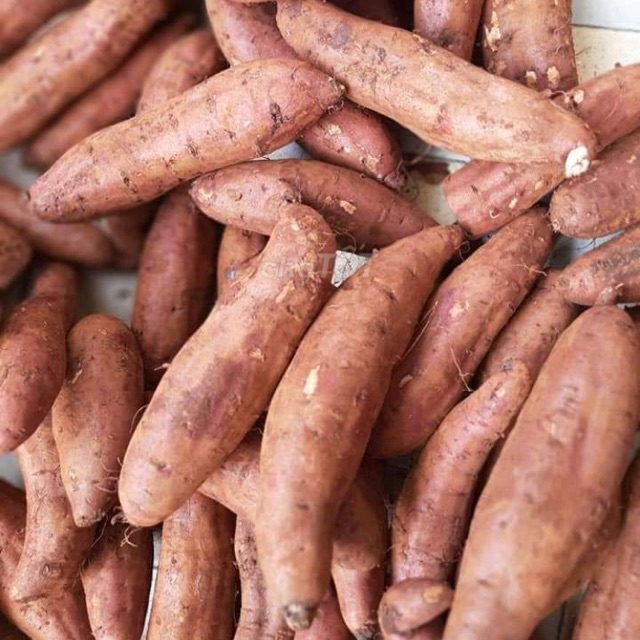 Khoai lang mật Đà Lạt