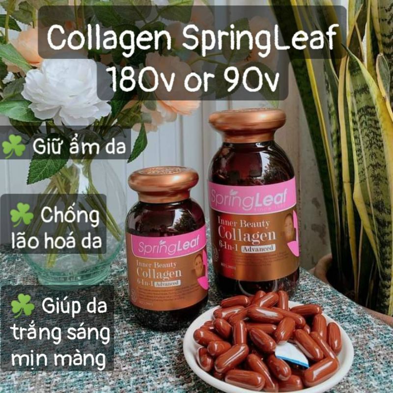 COLLAGEN SPRINGLEAF INNER BEAUTY 6 IN 1 HỘP 180 VIÊN VÀ 90 VIÊN | Thế Giới Skin Care
