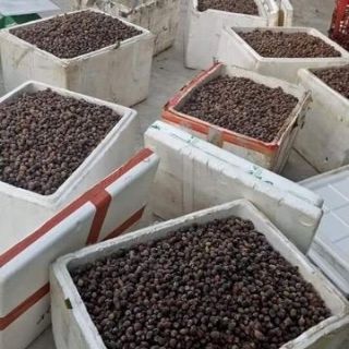 Sim Rừng Khô 1kg
