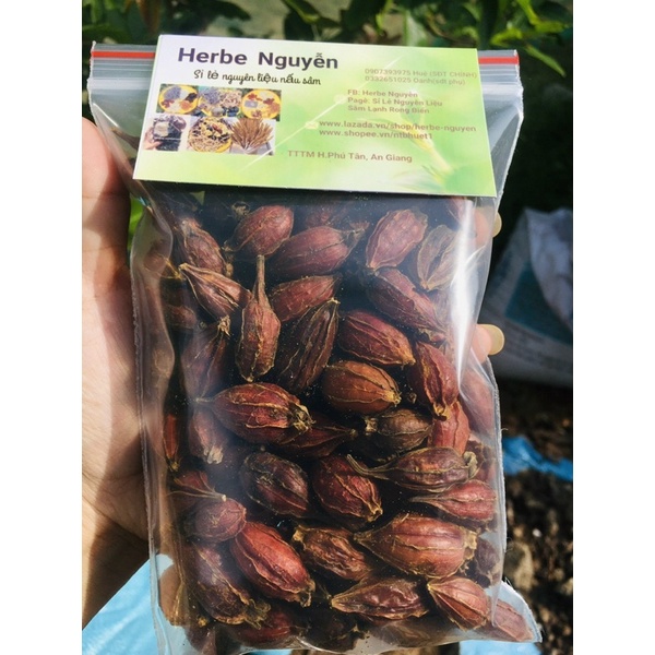 trái dành dành khô 100g