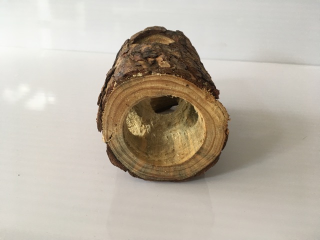 Khúc gỗ chui, hang trú gỗ cho hamster, sóc
