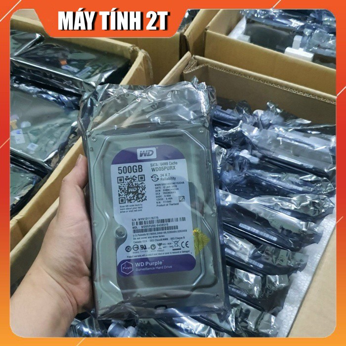 Ổ Cứng HDD 500G Western Tím - Bảo Hành 24 Tháng - Máy Tính 2T