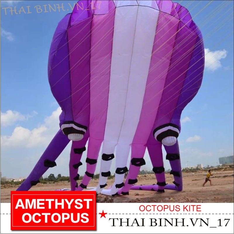 DIỀU BẠCH TUỘC – DIỀU BẠCH TUỘC KHỔNG LỒ