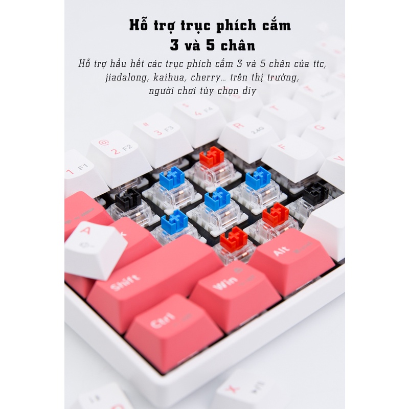 Bàn phím cơ không dây Dual Mode Newmen GM610 Pro,tặng kèm bộ 4 keycap rồng-hổ, bh 24 tháng,tương thích PC/Laptop/Mac/...