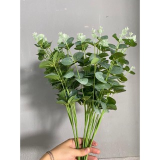 Lá táo giả đẹp