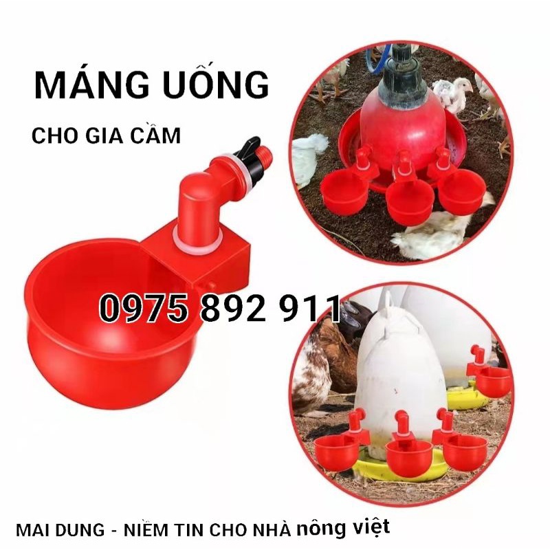 Máng uống tự động cho gà - vịt - ngan, dạng cốc