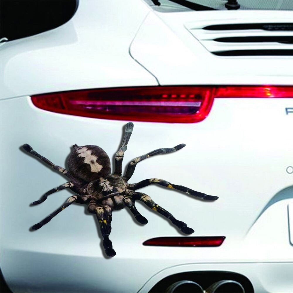 Đề can dán xe hơi hình nhện 3D độc đáo