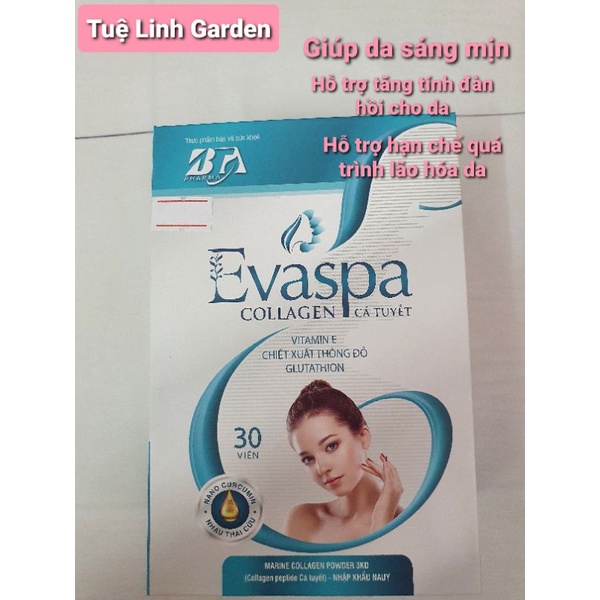 [HOT] Viên Uống Trắng Da Evaspa Collagen Cá Tuyết Giúp Da Sáng Mịn, Hỗ Trợ Tăng Tín Đàn Hồi Cho Da Chai 30Viên