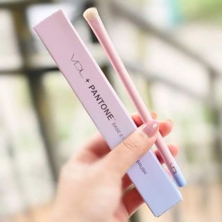 Set cọ VDL Pantone Limited Edition