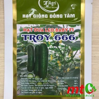 Hạt Giống Dưa Leo Baby Chùm - TỰ THỤ PHẤN - TROY 666