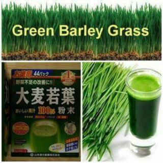 BỘT MẦM LÚA MẠCH GRASS BARLEY 44 GÓI