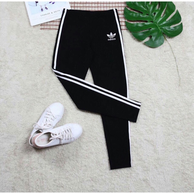 Quần legging