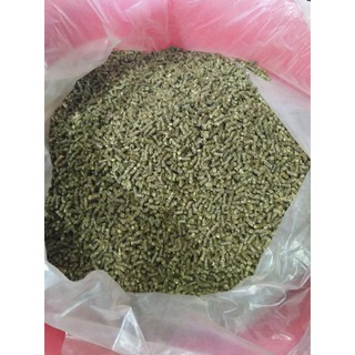 Cỏ linh lăng Alfalfa  dành cho gà đá
