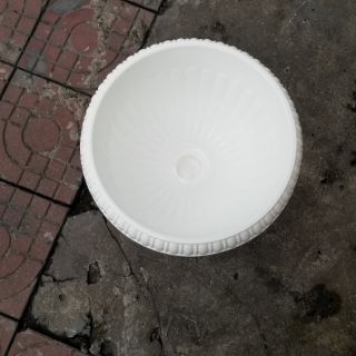 Chậu ly trồng cây