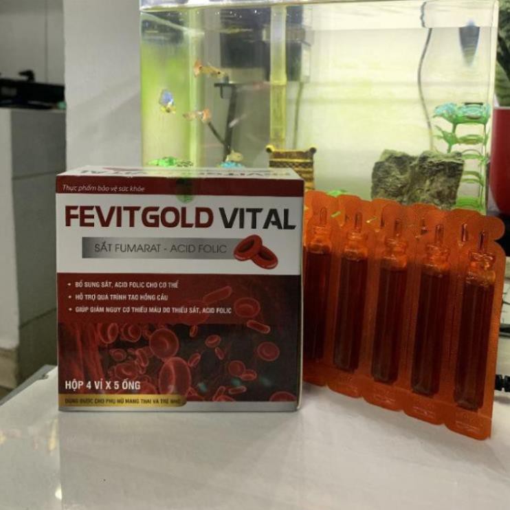 Fevitgold Vital bổ sung sắt và acid folic, giảm thiếu máu do thiếu sắt, hỗ trợ quá trình tạo máu