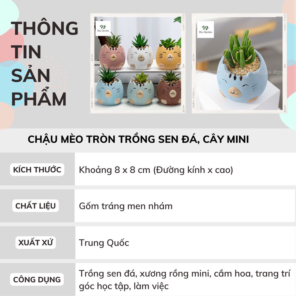 Chậu để bàn mèo trồng sen đá mini xương rồng cây cảnh trang trí góc họp tập làm việc Nia Garden N4