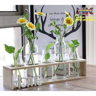 Set 5 lọ thủy tinh cắm hoa kèm kệ gỗ sang trọng