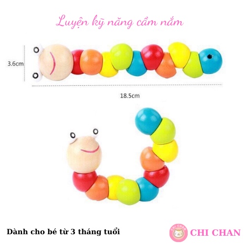 Combo 6 món đồ chơi gỗ montessori rèn luyện kỹ năng phát triển trí tuệ - Chi chan 008