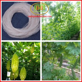 2m lưới rào gà và làm giàn leo bầu, bí, mướp...định hướng cho cây thân leo như bầu bí, su su, mướp