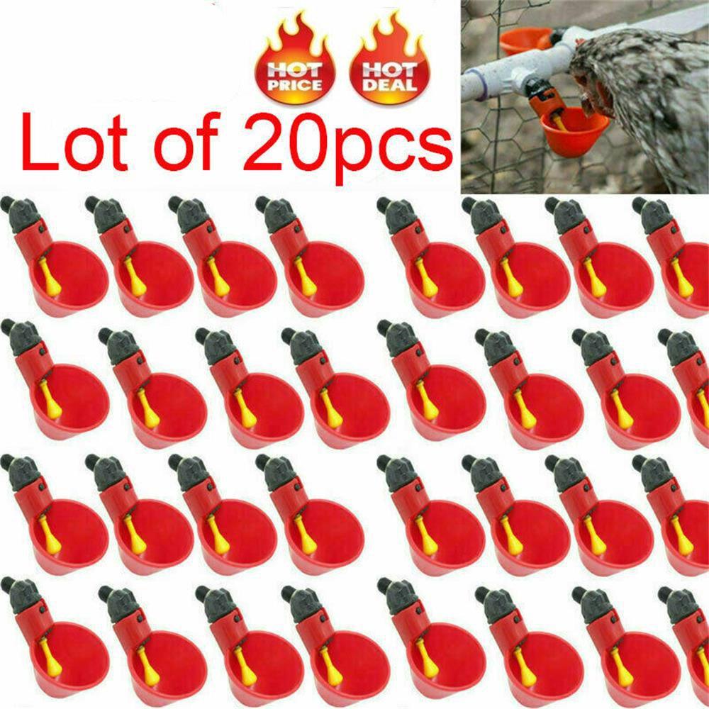 Set 10 / 20 Cốc Uống Nước Tự Động Cho Gà