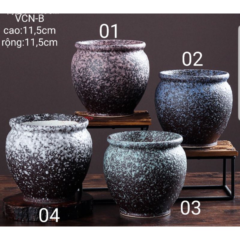 Chậu trồng cây cảnh sen đá xương rồng