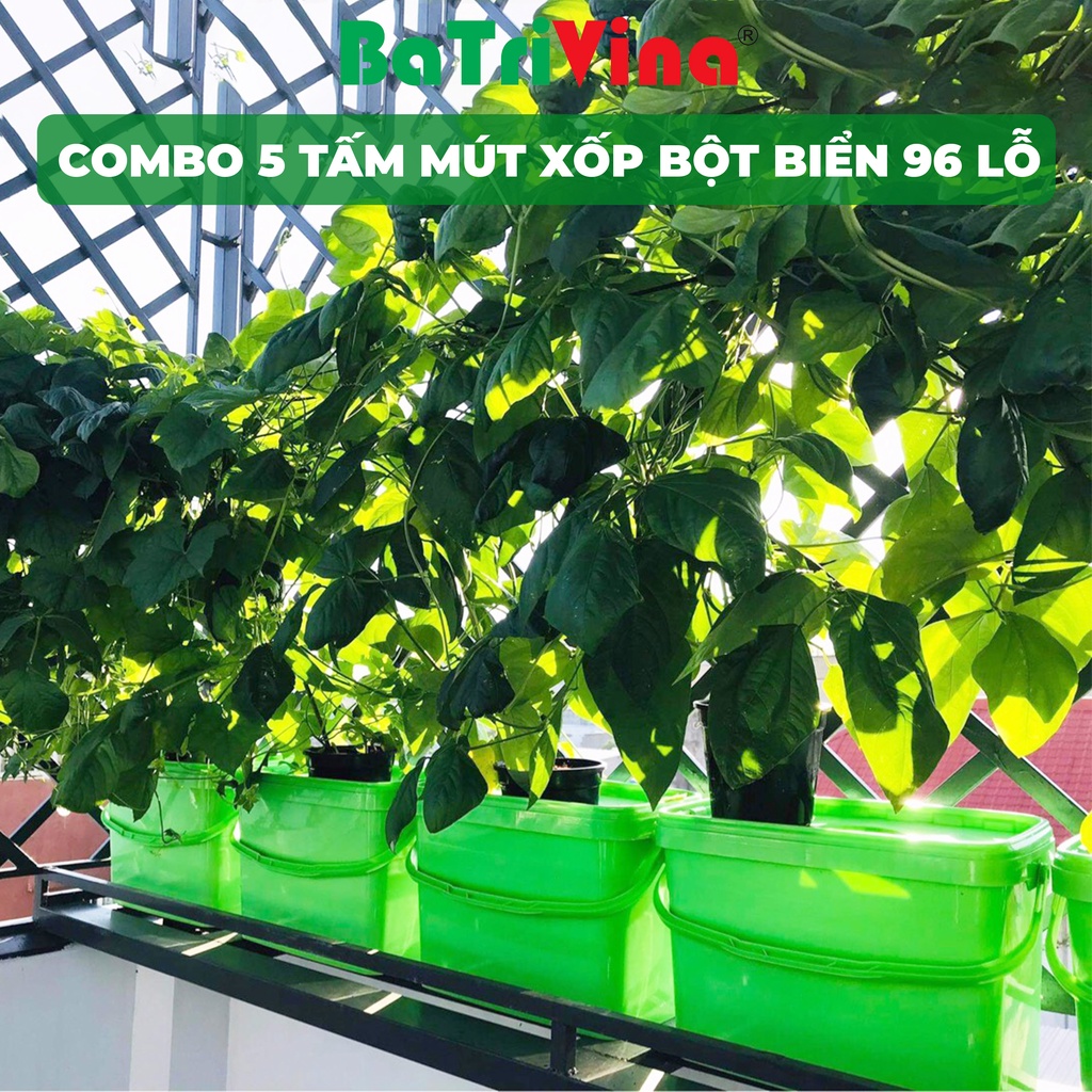 Bộ 10 thùng thiết bị trồng rau sạch thủy canh tĩnh BaTriVina cho rau ăn CỦ - QUẢ kèm đầy đủ phụ kiện trồng
