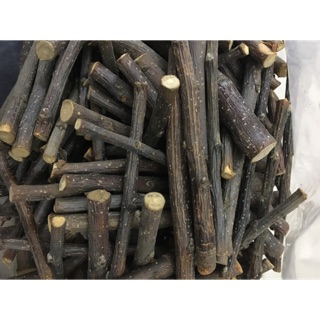 Cành gỗ táo mài răng