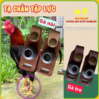 TẠ tập lực cho gà tre gà noi