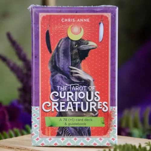 Bộ bài Tarot Of Curious Creatures - AUTH