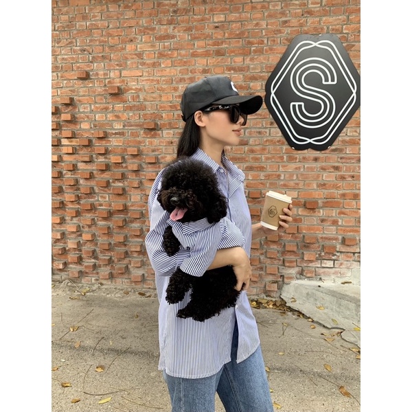 Sơ mi đôi Sen và Boss kẻ xanh Hàn Quốc 🐶