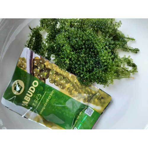 Rong nho Sabudo cao cấp tách nước theo công nghệ Nhật Bản tặng quà miễn phí. | BigBuy360 - bigbuy360.vn