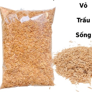 500gr Giá thể Vỏ trấu sống - trộn với đất - trồng rau, hoa kiểng - MHL